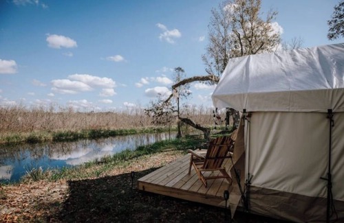Floral City RV Rental | Glamp on a Florida Orange Grove "Butterfly" Tent
