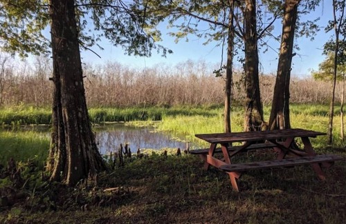 Floral City RV Rental | Glamp on a Florida Orange Grove "Butterfly" Tent