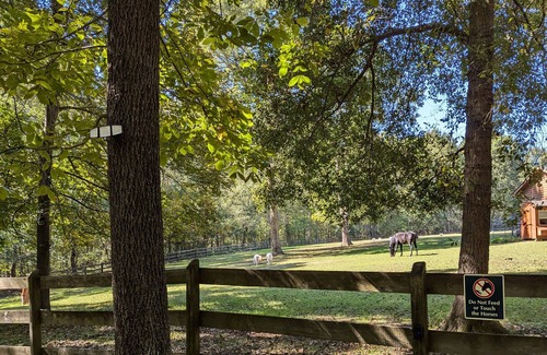 Clayton Cabin | Glamping at Tiny House!nPerfect Romantic Cabin Getaway on Horse Farm