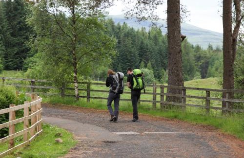 Tyndrum Other | Glamping Hut - By The Way Campsite