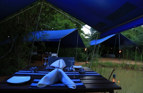 Kataragama RV Rental | Glamping in style bordering Yala National park