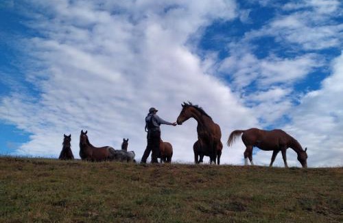 Punta Arenas Other | Glamping in the middle of nature and ocean view