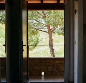 Cinigiano Bed & Breakfast | Glamping Le Dune