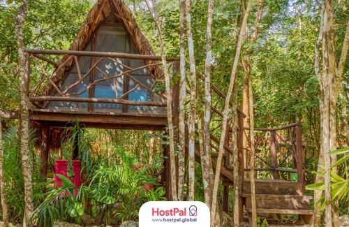 Leona Vicario Cabin | Glamping Luma | Encuentra tu zen en la jungla