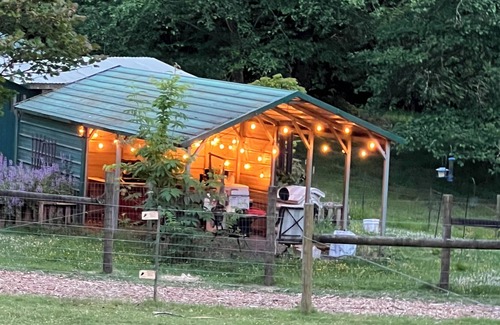 Duvall House | Glamping With Alpacas in an Eco-Friendly Dome Outside of Seattle