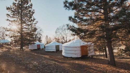 Dunlap House | Glamping yurt at Sequoia Highland Camp