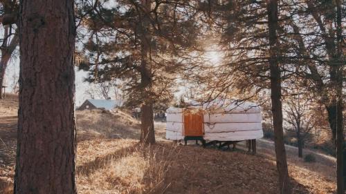 Dunlap House | Glamping yurt at Sequoia Highland Camp