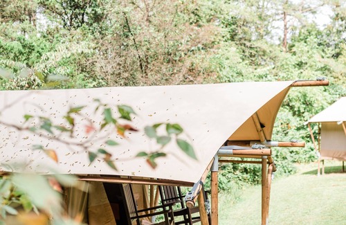 Knoxville RV Rental | GlampKnox Canvas Retreat - Clare
