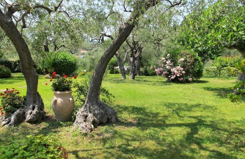 Monade Santa Lucia Apartment | Gli ulivi di Alberto