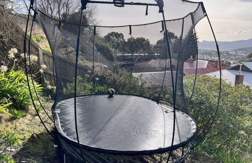 West Hobart House | Glorious Views - Beautiful 1925 Heritage House