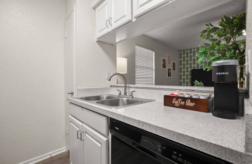Skyview Apartment | Glowing Green Studio | Stay for ACL/F1/Etc!