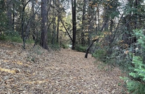 Phoenix Lake-Cedar Ridge RV Rental | Gold Rush Historic Location with Luxurious Recreational Vehicle with Porch