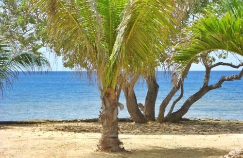San Juan Hotel | Gold View Beachfront Resort