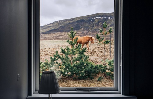Breidholt House | Golden Circle Luxury Cottages