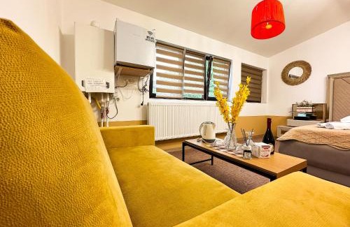 Craiova Apartment | Golden Escape - Charming Studio in Prime Location