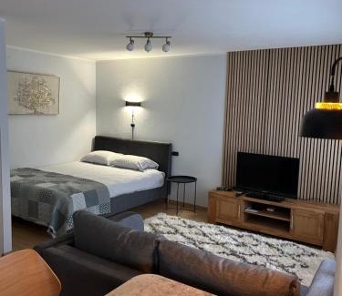 Ventspils Apartment | GoldNest