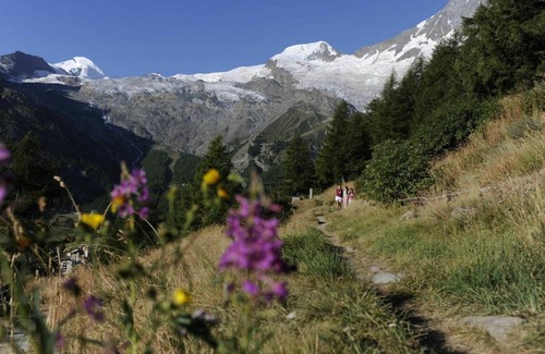 Saas-Fee Apartment | Golf 733.1
