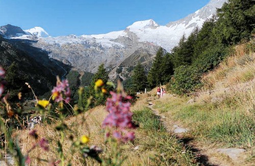 Saas-Fee Apartment | Golf