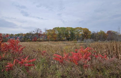 Georgian Bay House | Golfing, Swimming, Skiing, Boating, Kayaking and canoeing, & Fishing