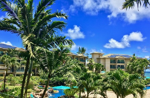 Wailua Condo | Gorgeous 1BR/2BA - Great Views & Reviews