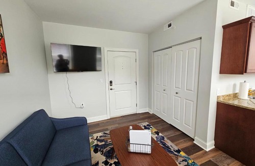Champaign Apartment | Gorgeous and Spacious Studio at the Historic Inman - 200