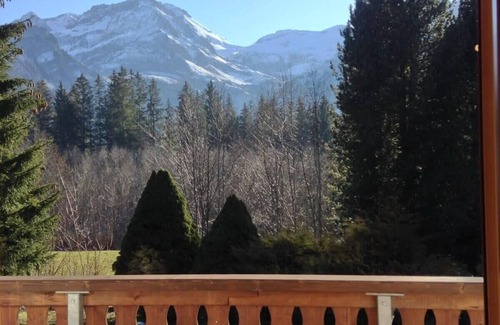 Lauenen Ski Chalet | Gorgeous Chalet in Truttli Area of Lauenen