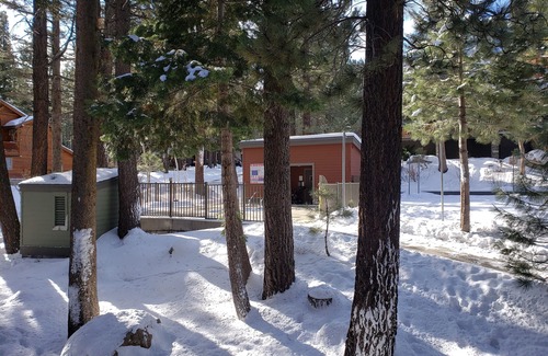 Mammoth Lakes Condo | Gorgeous Condo - Walk To Eagle Express/Chair 15! Pet Friendly!