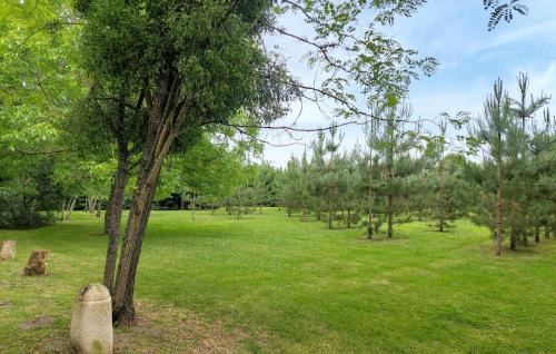 Gans House | Gorgeous Home In Gans With Kitchen