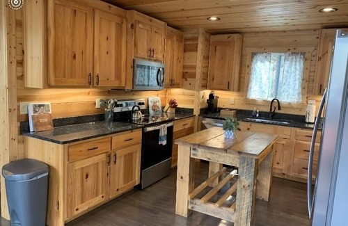 Topton Cabin | GORGEOUS LAKE FRONT CABIN - PRIVATE LAKE ACCESS-FISHING, KAYAKING, AND HIKING.
