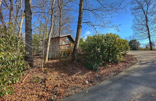 Cullowhee Apartment | Gorgeous studio cottage less than 1/2 mile from Western Carolina University!