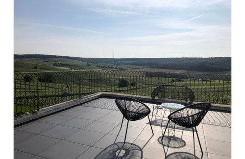 Fleury-la-Riviere House | Gorgeous views of the Champagne's vineyards near Dom-Pérignon's village