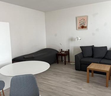 Kemi Apartment | Gozy Apartment in Central Kemi