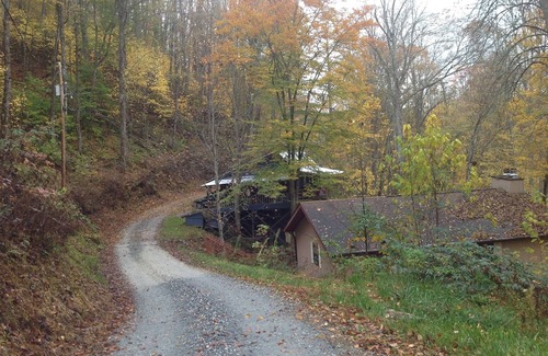 Topton Cabin | Grace Cottage: Cozy. Affordable. On the lake. Perfect for a small family!
