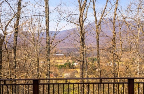 Nellysford House | Graceland - A Magnificent Estate on 14 Acres