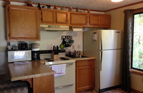 Claysburg Condo | Graefe Bunny Hop Condo at Blue Knob