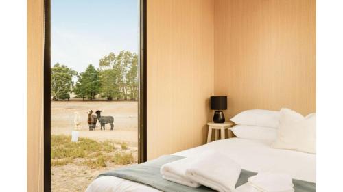 Moyston House | Grampians Views Moyston by Tiny Away