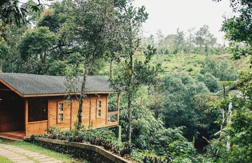 Kuttikkanam Ski Chalet | Granary Experience - Wooden Chalet in a plantation