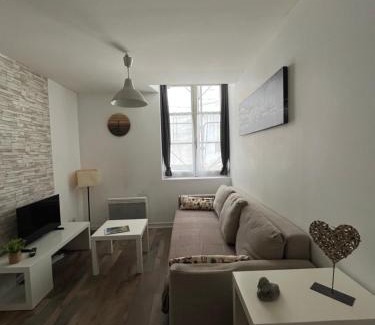 Bourgogne Apartment | Grand studio rdc au calme, centre ville prox Cathédrale