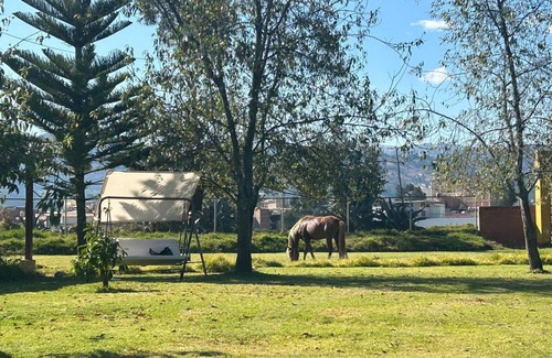 Cajamarca House | Grandfather´s Farm - Disfruta de la Naturaleza en un Lindo Flat