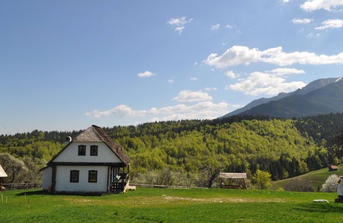 Bran House | Grandma's House - traditional house near to Bran Castle