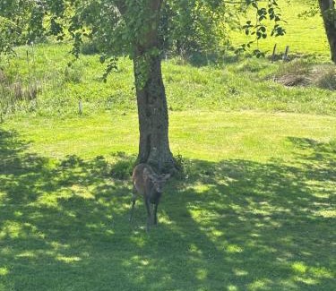 Knockaderry Cross Roads House | Granite View