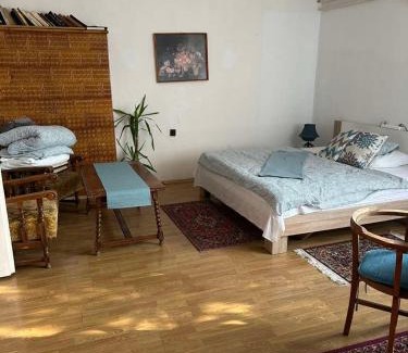 Vecses Apartment | Grany's Retro Guesthouse near Budapest AirPort