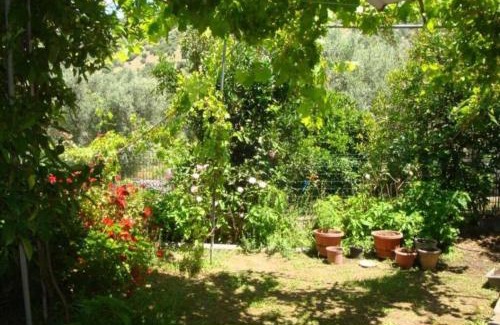 Igoumenitsa Apartment | Grapes and Roses 2