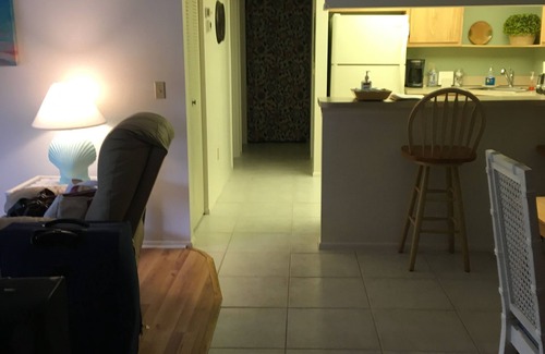 Port Charlotte Condo | Great Condo in a Relaxing 55 Plus Community