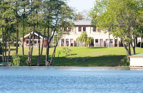 Muritz Apartment | Great Crested Grebe - Great Crested Grebe Barn Loppiner See