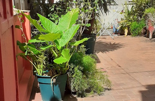 Barracas Apartment | Great location and beautiful Penthouse