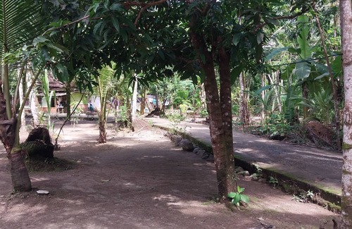 Java House | Green Anda's Homestay - Community-Based Ecotourism in Ujung Kulon National Park