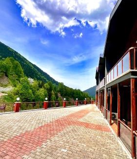 Uzungol Apartment | Green Cinar Apart