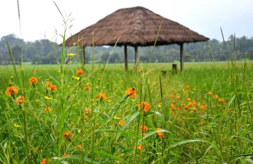 Mahiyanganaya House | Green Heritage Holiday Resort