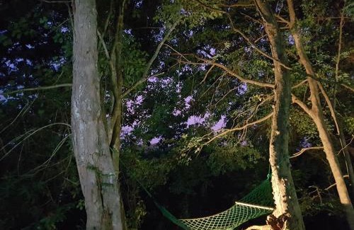 Inamaluwa Resort | Green House Resort